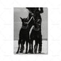 Fashion Sexy Women Wall Art Poster Leopard Dog Art Print Luxury Brand Car Canvas Painting Modern Pictures Living Room Home Decor