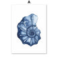 Watercolor Blue Coastal Sea Creatures Posters Prints Octopus Conch Jellyfish Wall Art Canvas Painting Kids Room Home Decor